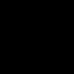 Meet your Posher, Ilsia